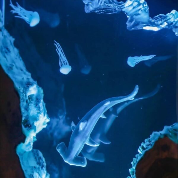 Hammerhead Shark and Diver Resin Night Light，Resin Lamp （ Best Gift 🎁 ） - Image 5